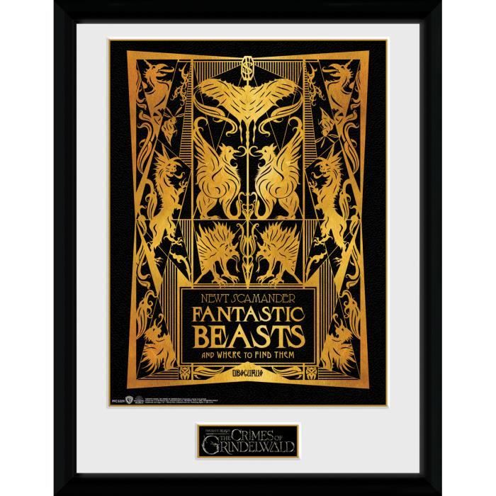 Photographie Encadree Les Animaux Fantastiques Les Crimes De Grindelwald Couverture De Livre Achat Vente Cadre Photo Cdiscount