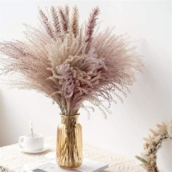 Objet decoratif herbe de pampa 60 cm fleur sechee - Cdiscount