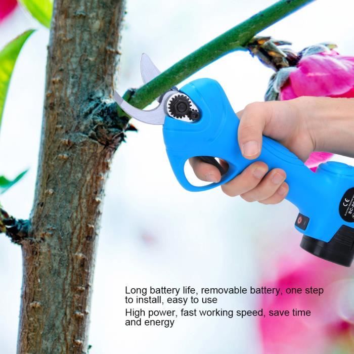 Sitemapcdatahttpswwencellcare1comcoupe Branche Electrique Lidlnull