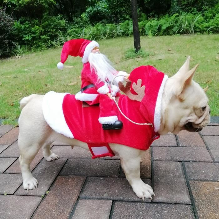 Rouge M Noel chien de compagnie habiller vetements drole pere noel Costume pour chiens hiver chaud chien manteau Chihuahua carlin Y Cdiscount