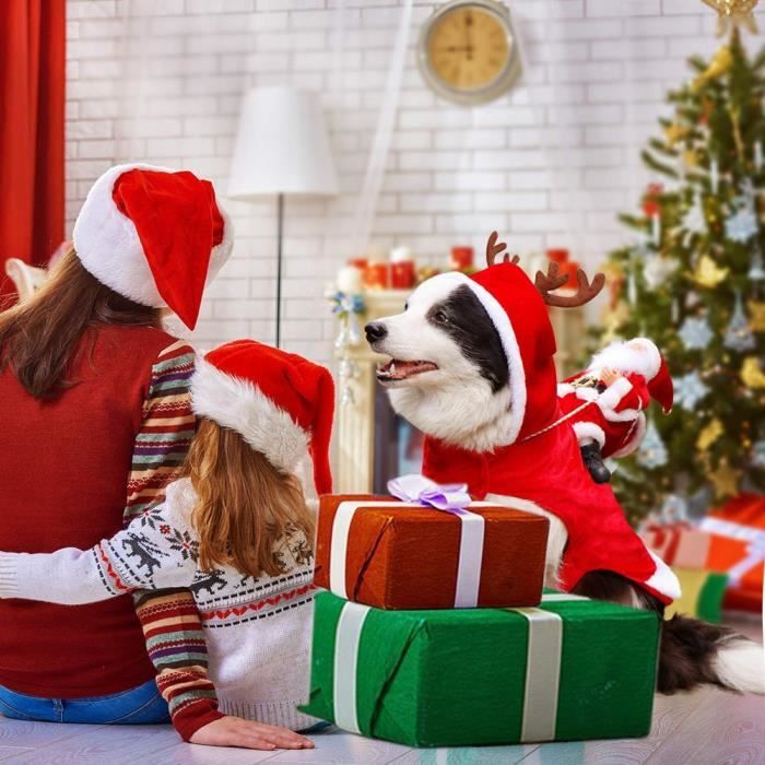 Vetement pour chien noel on sale