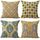 Lot coussin deco