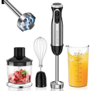 Mixeur Plongeant ESGE P 200 Profi - Pied Mixeur Robustepour Cuisine Quotidienne