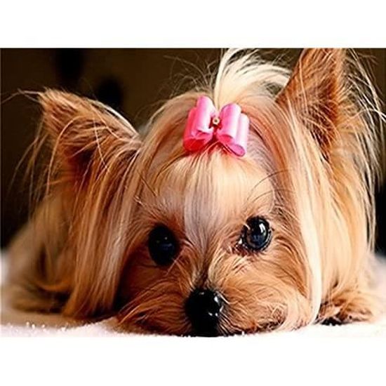 5D Diamant-Malerei Set – Yorkshire Terrier Design, 30x40 Cm, Inkl. Zubehör Für Erwachsene