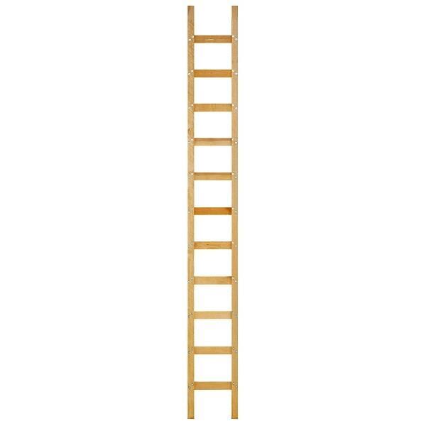 Echelle de couvreur renforcée en bois pro 3 m
