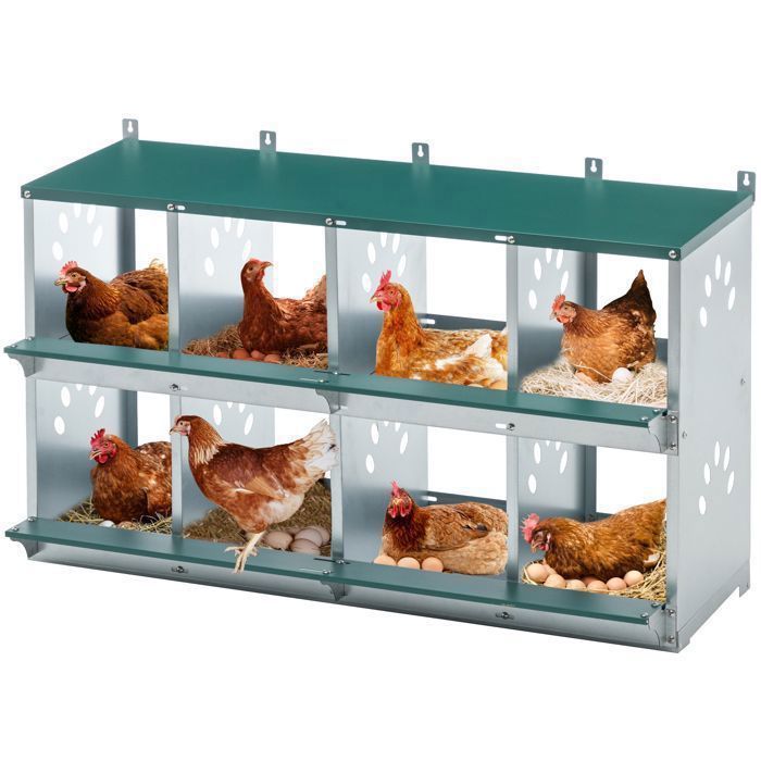 Meilleurs prix pour Nid Poules 8 Compartiments Métal Galvanisé à Fixer au Mur avec Fond Inclinable Collecte Œufs Automatique – Vert Extérieur