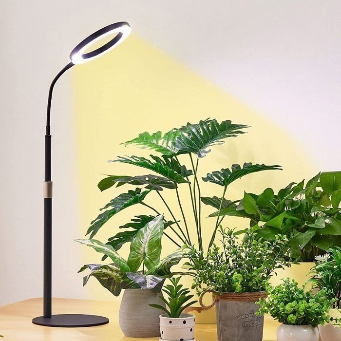Lampes de culture pour plantes dintérieur 80 LED à spectre complet lampe de bureau avec minuterie 5 niveaux dintensité réglables