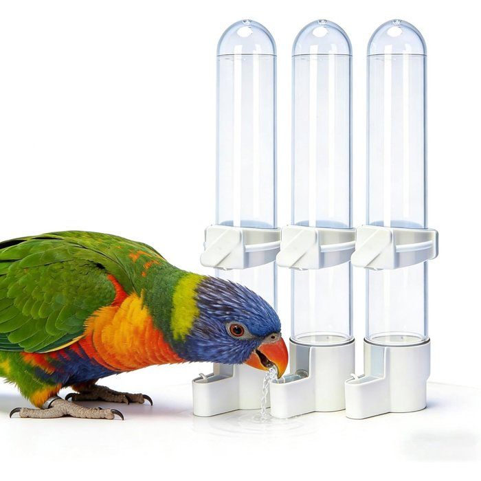 Distributeur deau automatique pour oiseaux 120 ml abreuvoir de cage en plastique transparent lot de 3