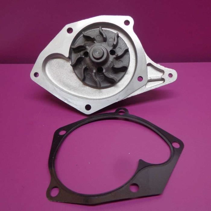 Pompe à Eau Ggt Pour Renault Scenic Ii 15 Dci