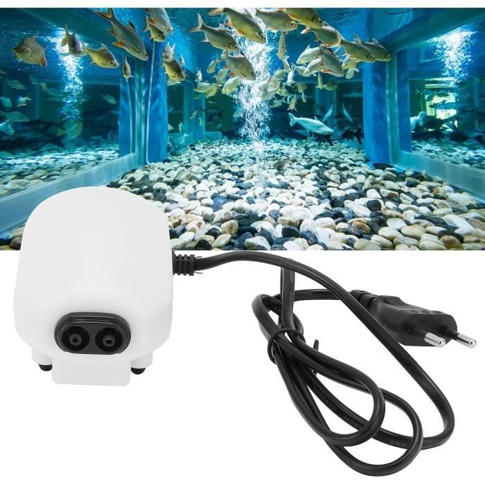 Pompe a Air Aquarium Silencieuse, Portable USB Mini Oxygène Pompe à air  Aquarium, adaptée à l'aquarium et au nano aquarium Rouge - Cdiscount  Animalerie