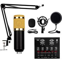 Microphone à Condensateur USB, Micros PC pour Ordinateur Mac Micro avec Filtre Anti-Pop et Support de microphone réglable pour Enr