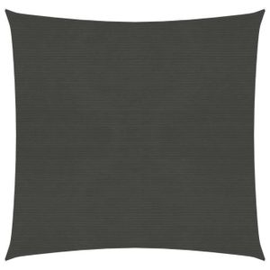 VOILE D'OMBRAGE Lavienrose Voile d'ombrage 160 g/m² Anthracite 4x4