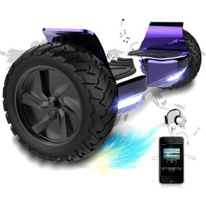 ACCESSOIRES HOVERBOARD EVERCROSS Hoverboard Overboard Gyropode Tout Terra
