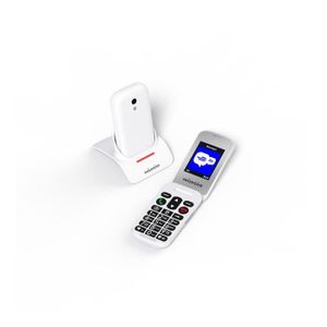 Téléphone portable pour personnes âgées Swiss Voice Voice S28 2,8  Bluetooth WiFi - Cdiscount Téléphonie