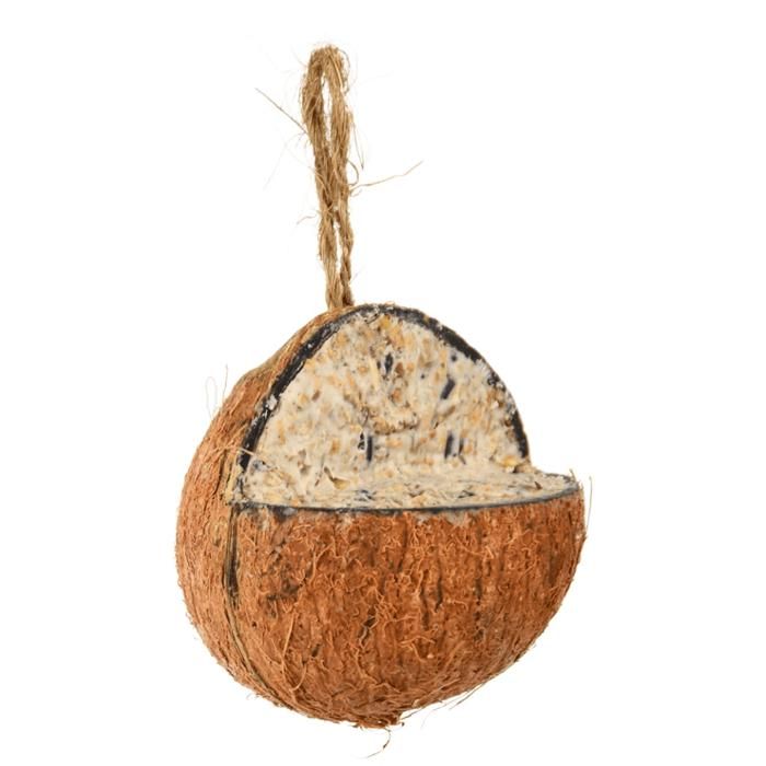 Graines oiseaux Noix de coco suspendre