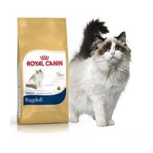 Feline Nutrition Ragdoll - Royal Canin