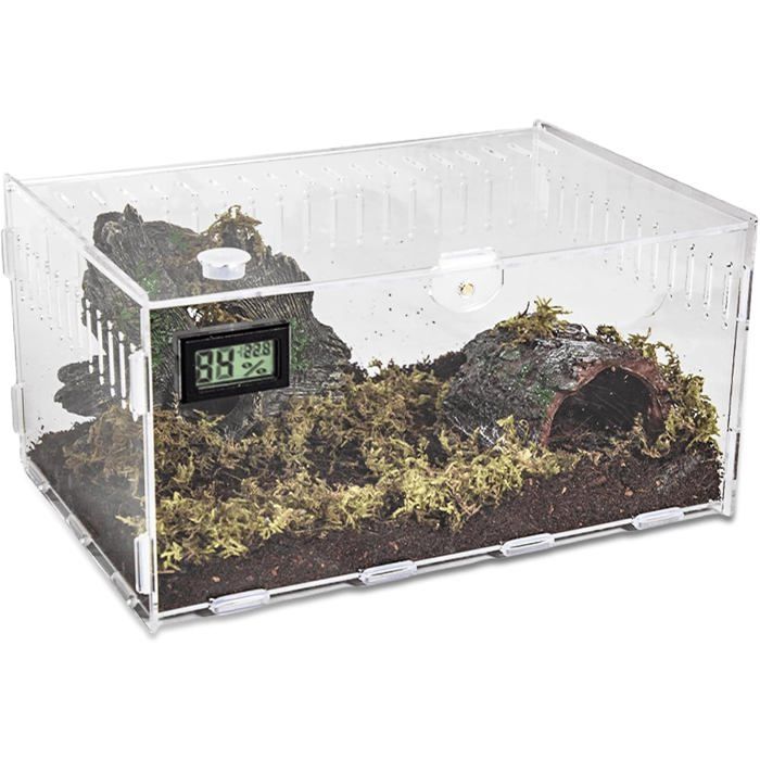 Terrarium en acrylique pour escargots 30 cm 20 cm 15 cm boîte à nourriture transparente pour reptiles