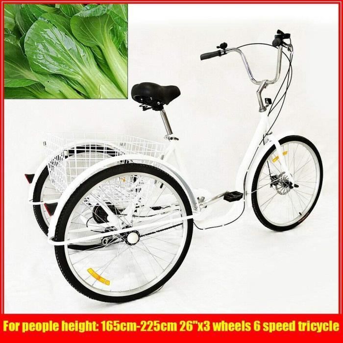 Tricycle Adulte 24" 6 Vitesses - Avec Panier Et Lumière - Pour Sport Et Transport - Capacité 110 Kg
