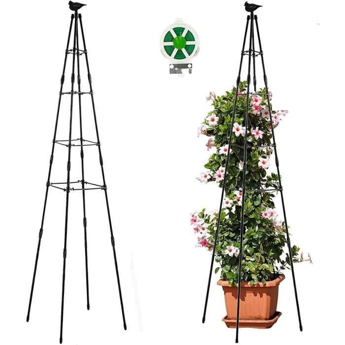 Tuteur Plante Original