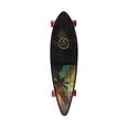 Skateboard - Longboard Complets