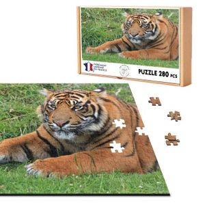 PUZZLE Puzzle Classique 280 pièces Gros Plan Tigre Etendu