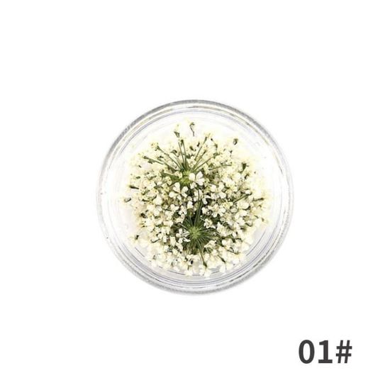 Fleurs Séchées Naturelles Pour Nail Art Et Résine - Boîte De Fleurs Pressées Mélangées - Pour Bijoux, Décoration, DIY