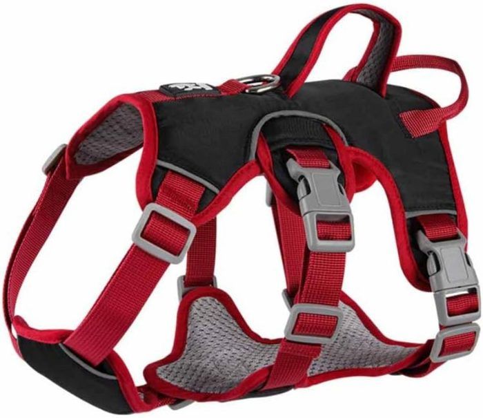 Meilleurs prix pour Harnais pour chien harnais de sécurité anti-traction réglable pour chiens