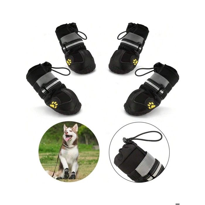 Protege Patte Pour Chien