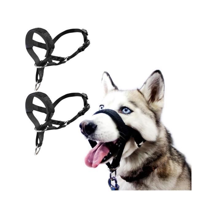 Licol pour Chien - 2PCS - Tissu Rembourré - Réglable - Éducation Extérieure