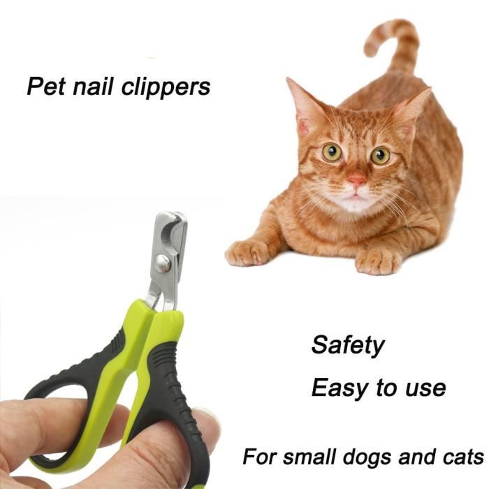 Chat De Chien Toilettage Ongles Orteils En Griffe Clippers Ciseaux Pince Cutter H4575 Achat Vente Coupe Ongles Griffes Chat De Chien Toilettage Cdiscount Chat De Chien Toilettage Ongles Orteils En Griffe Clippers Ciseaux Pince Cutter H4575 Achat Vente Coupe Ongles Griffes Chat De Chien Toilettage Cdiscount