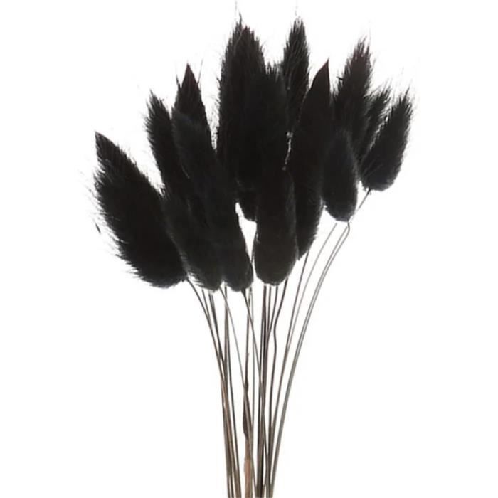 60 Queues De Lapin Séchées – Herbe Décorative Blanche Pour Bouquet, Mariage, Déco Maison