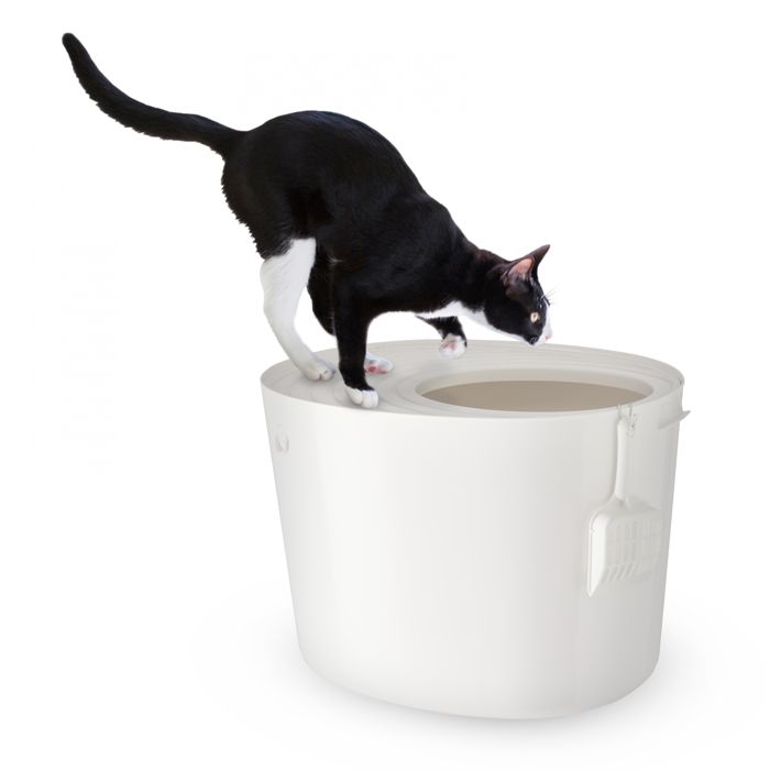 Comparer les prix de Iris Ohyama, Bac a litiere pour chat, Maison de toilette chat fermée, Pelle, L53 x P41 x H37 cm, PUNT-530, Blanc