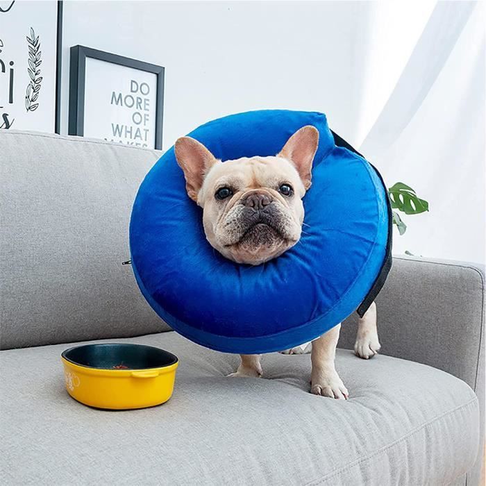 Meilleurs prix pour MEIDONG Collier conique gonflable pour chien et chat, collier animal souple et gonflable après, protection E collar avec boucle