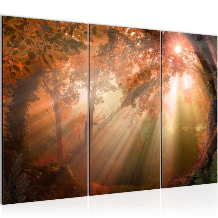 Tableau En Verre Trempé Va Art-Glass - Forêt Noir Et Blanc - Art Mural Moderne - Toutes Tailles