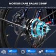 Vélo Électrique Femme Pliant 20" FAFREES F20 Pro - 250W - Batterie amovible 36v 18ah - Shimano 7 Vitesses - Bleu-2