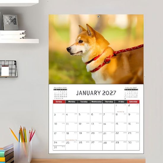 Calendrier De Bureau 2026 Avec Support - Design Teckel Mr. Wonderful