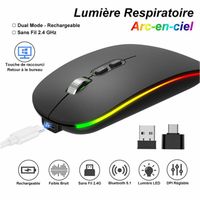 Souris Bluetooth Sans Fil Rechargeable [BT 5.1 + 2.4G Nano], 800-1200-1600 DPI, Souris pour PC, Ordinateur Portable - Noir