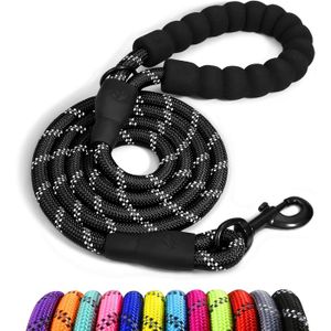 Laisse Chien Cuir Tressé Brute Strength – Noir 140 Cm – Cuir Pleine Fleur Et Boucle Gun Metal