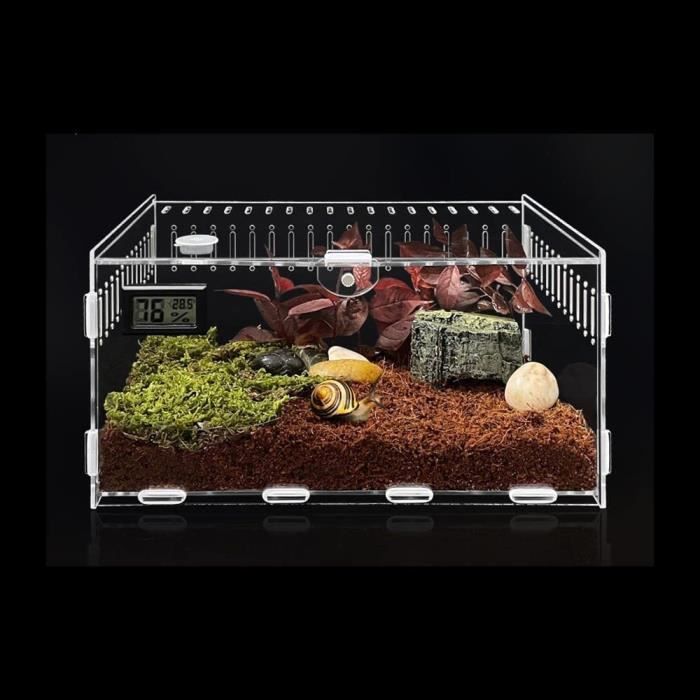 terrarium - d alimentation d insecteshabitat reptile boîte d élevage transparente breeding box