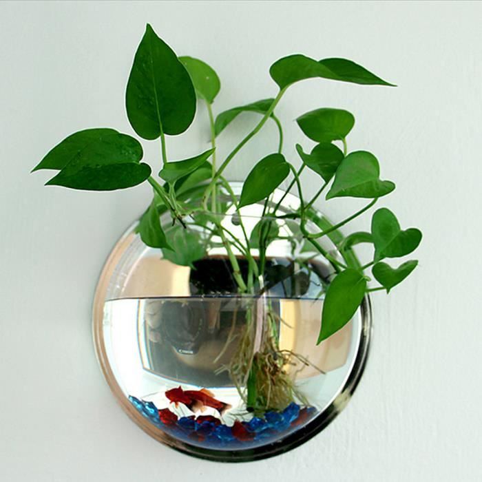 Plante En Pot Suspendus Wall Bubble Acrylique Bol Fish Tank