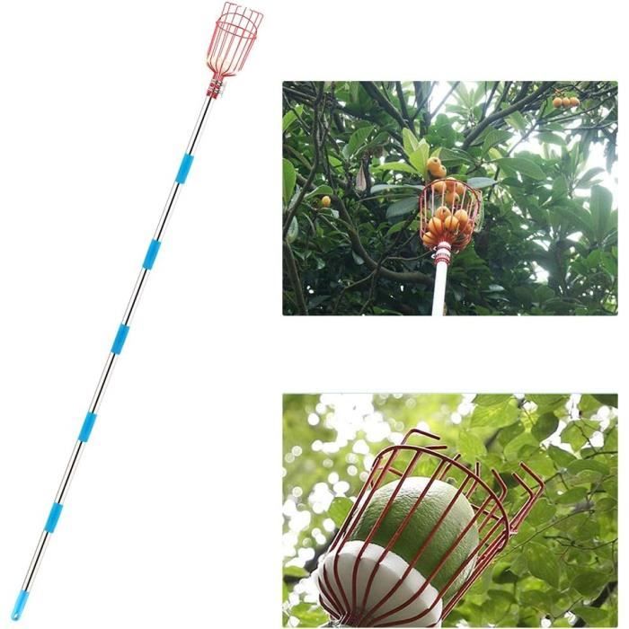 3 Pièces Outil De Ramassage De Fruits Perche Télescopique De Cerise Cueilleur De Fruits Cueilleur De Citron Kaki Cueilleur Cueilleur D'orange
