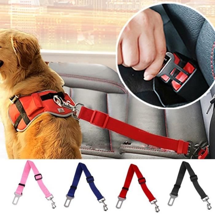 Meilleurs prix pour Ceinture de sécurité portable pour voiture pour chien - noir