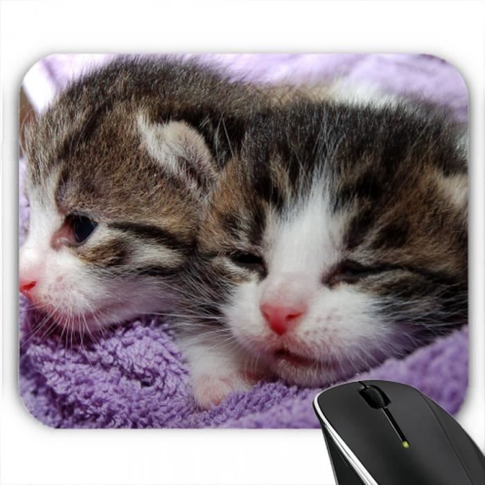 Tapis Bebe Chat Cdiscount Tapis Bebe Chat Cdiscount