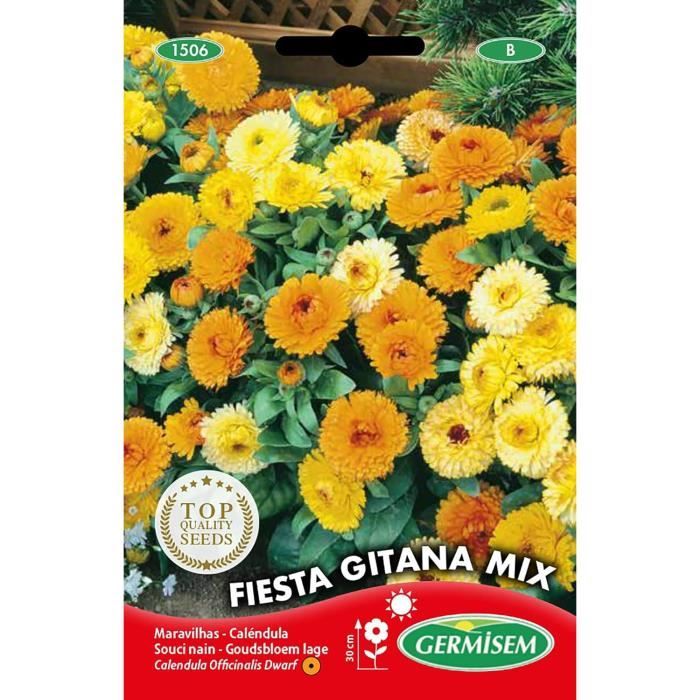 WEYE-Germisem Compact Mix Graines de Pétunia 0.2 g EC1ticolore[1005