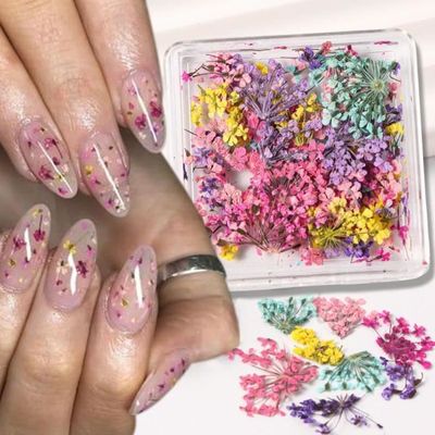 Fleurs Séchées 3D Pour Nail Art - 12 Couleurs Véritables Fleurs Avec Boîte Transparente