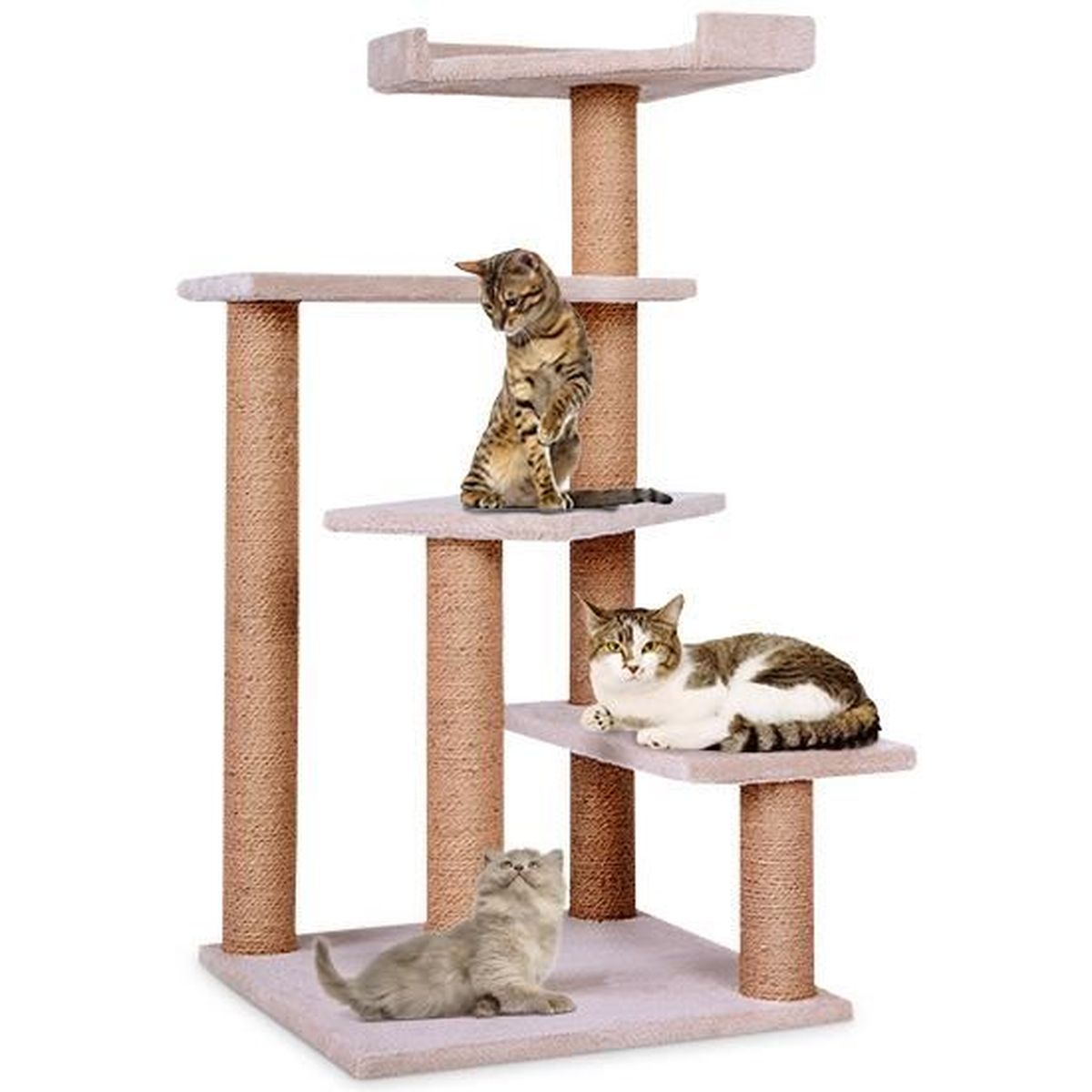 Arbre A Chat Stable Pas Cher Griffoir Beige Grattoir Jouet Avec 4 Grottes Peluche Coco 100 Cm Design Simple Cdiscount Animalerie Arbre A Chat Stable Pas Cher Griffoir Beige Grattoir Jouet Avec 4 Grottes Peluche Coco 100 Cm Design Simple Cdiscount Animalerie