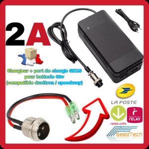Chargeur ultra rapide Dualtron Victor - Voltee