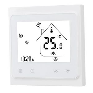 THERMOSTAT D'AMBIANCE Fdit Thermostat numérique BHT 002GC Thermostat pro