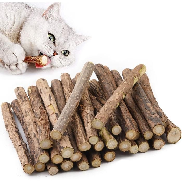 Meilleurs prix pour Paquet de 30 bâtonnets d'herbe à chat, bâtons à mâcher pour chat, bâtons à mâcher