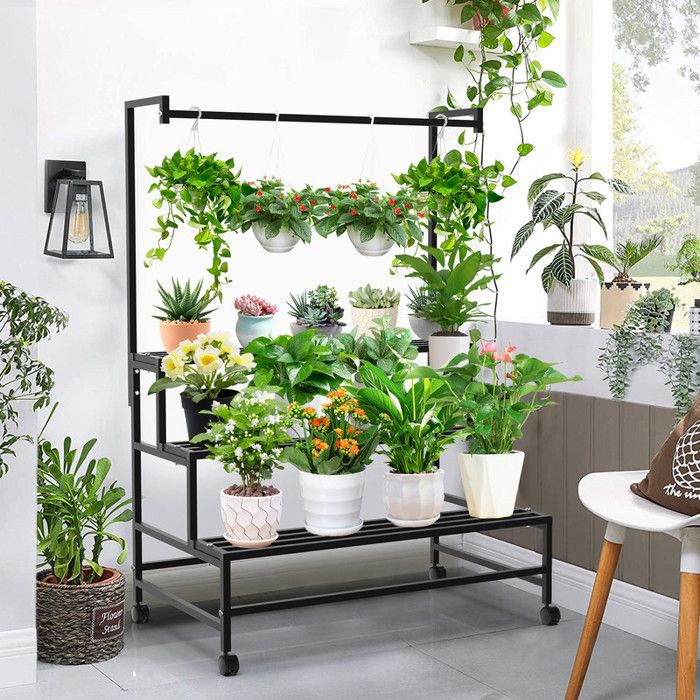 DETENE 3 Pièces Support pour Plantes d'intérieur avec Vis Étagère pour Plantes en Métal Étagère Murale pour Plantes Supports de Pots de Fleurs pour Maison Jardin Balcon Salon Terrasse Cour